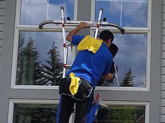 Squeegee cleaning a window
