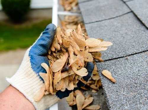Cleaning leaves out of a gutter